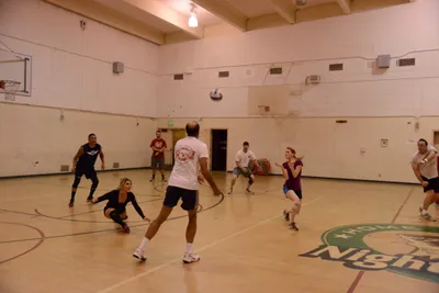 DSC_1936 (Large).JPG